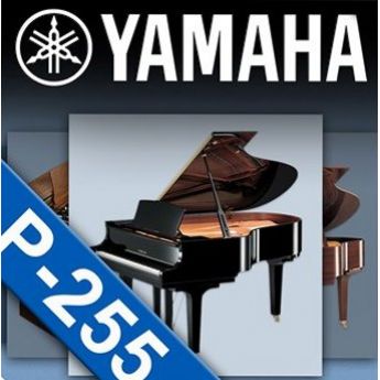 Приложение Yamaha P-255 Controller