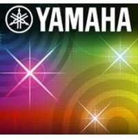 Приложение Yamaha Visual Performer