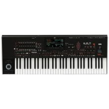 Синтезатор Korg Pa4X-61 Oriental