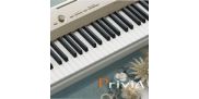 Выпущено цифровое пианино Casio PX-160