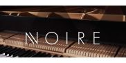 Выпущен виртуальный рояль Native Instruments Noire