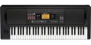В чем разница между Korg EK-50 L и Korg EK-50