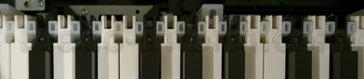 механнизм клавиатуры Casio CDP-S100, вид сверху