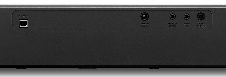 Панель с разьемами на Casio CDP-S100